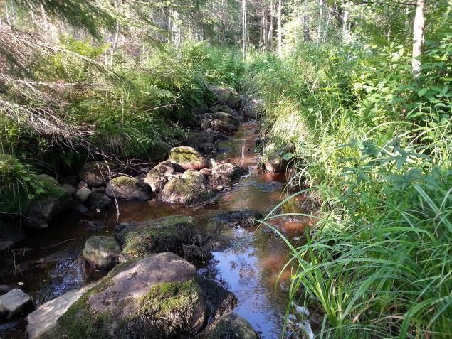 Uomasta tulisi saada poistettua hieno aines, ennen kuin alalle suunnitellaan