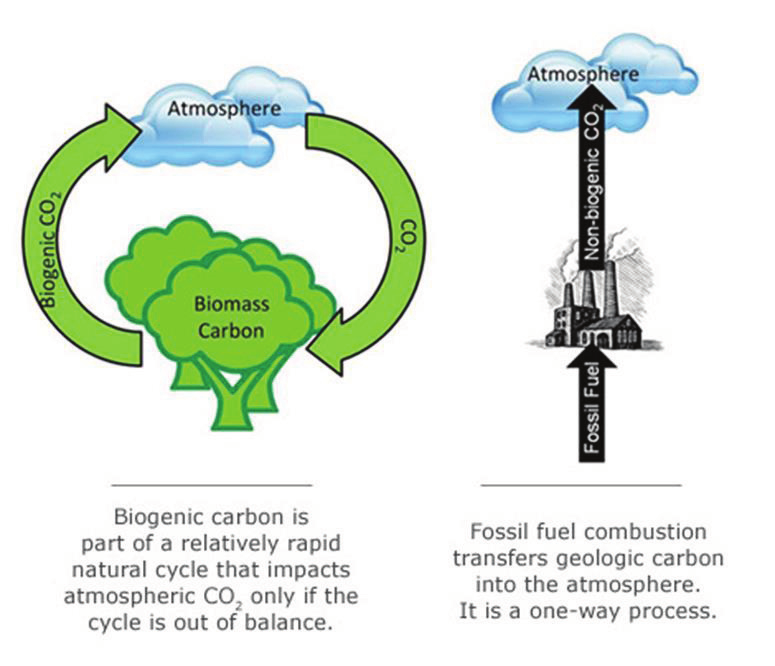 Ilmastonmuutoksen hillinna n dynamiikka onko metsa bioenergia ilmastoneutraalia? Kim Pingoud Tässä artikkelissa esitetään Sieväsen artikkelista edellä, raportista (Sievänen ym.