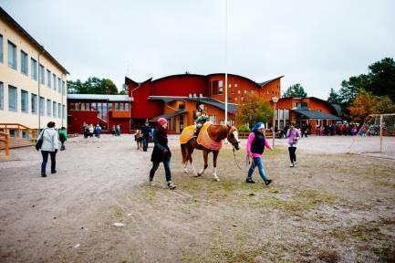 tuotekehitystä, vienti, perunamarkkinat