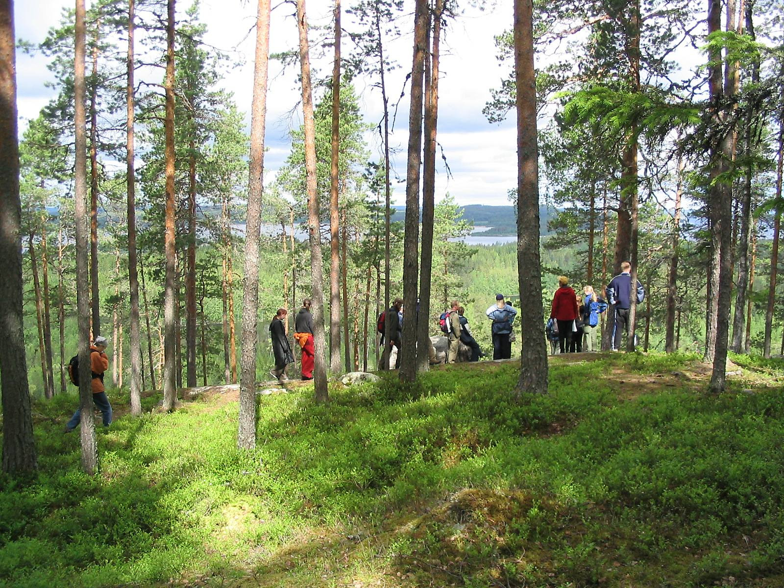Keski-Suomen Natura 2000 verkoston hoidon ja