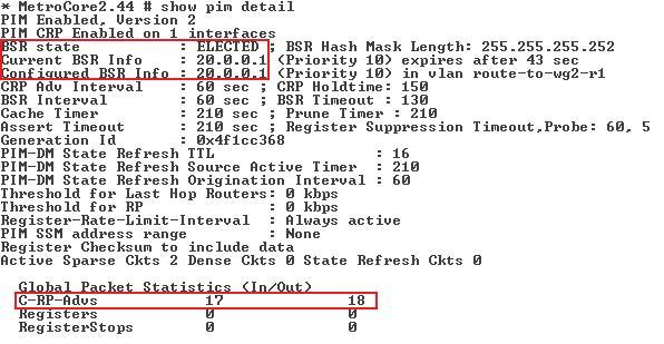 110 PIM-domain muodostui laitteista MetroCore2 ja WG2-R1. Domainissa käytettiin BSR-toimintoa kertomaan RP:n osoite muille laitteille.