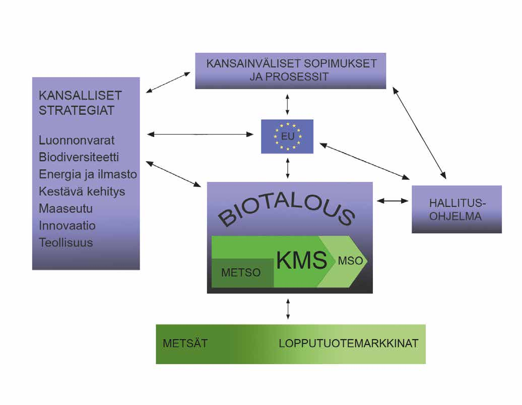 Visio korostaa metsistä saatavaa monipuolista hyvinvointia ja sitä, että metsät tarjoavat ratkaisuja ihmisten ja yhteiskunnan tarpeisiin.