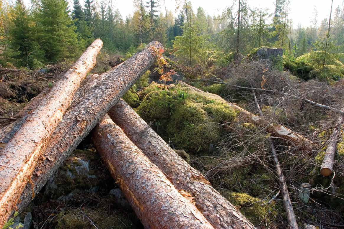 Edellä mainituista mittareista metsäalan arvonlisäys ja liikevaihto kuvaavat yleisesti alan kasvua ja sitä, miten kilpailukykyinen metsäalan toimintaympäristö on.