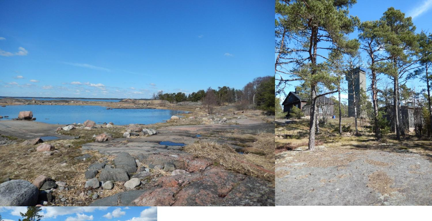 Kytö 21.