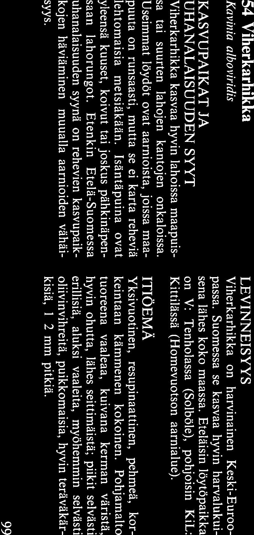 ITIÖEMÄ Yksivuotinen, resupinaattinen, nahkamainen, keskikoinen, noin kämmenen suuruinen, 0.1 0.2 (- 0.5) mm paksu.