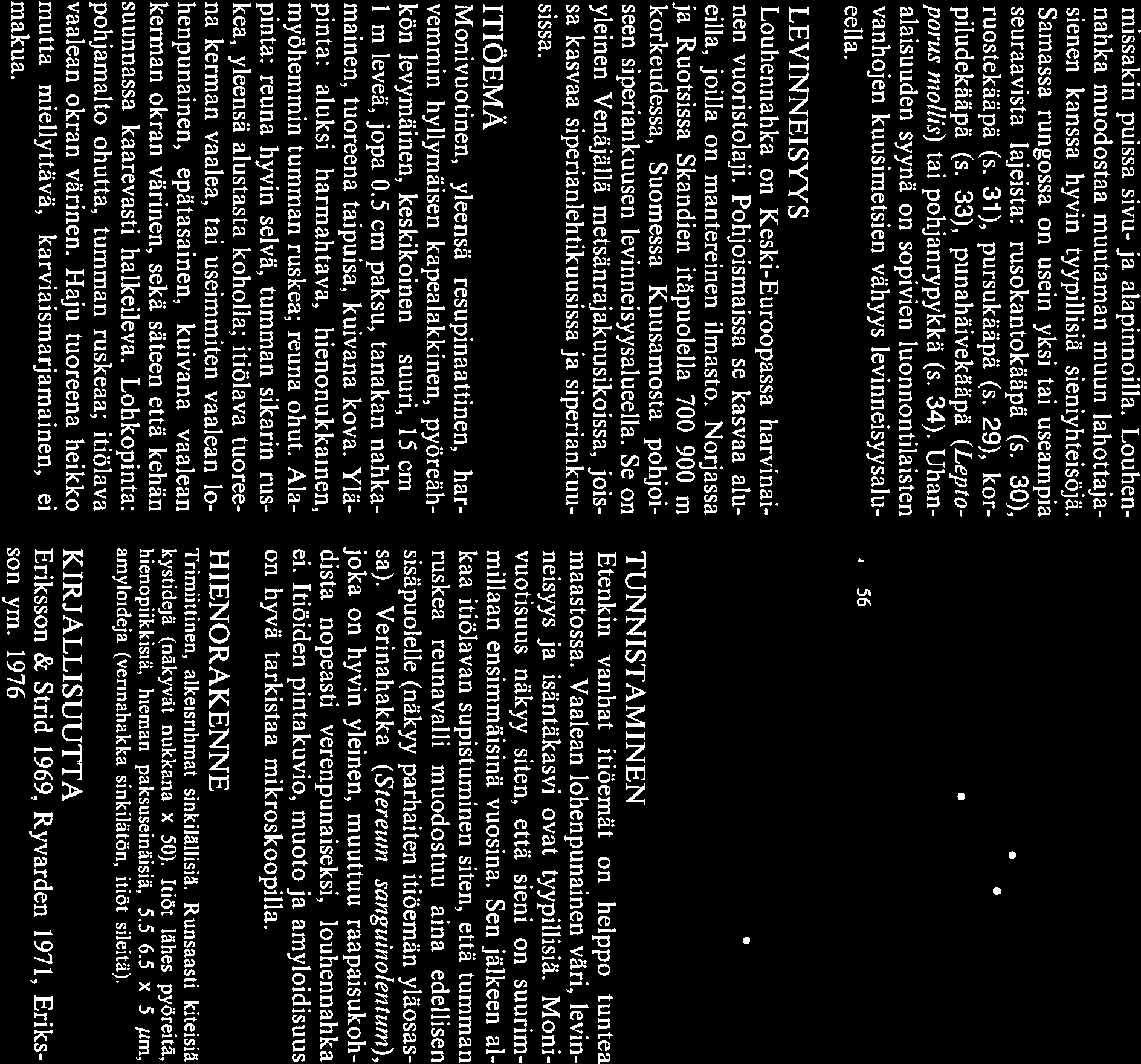 suuri. missakin puissa sivu- ja alapinnoilla. Louhen nahka muodostaa muutaman muun lahottaja sienen kanssa hyvin tyypillisiä sieniyhteisöjä.