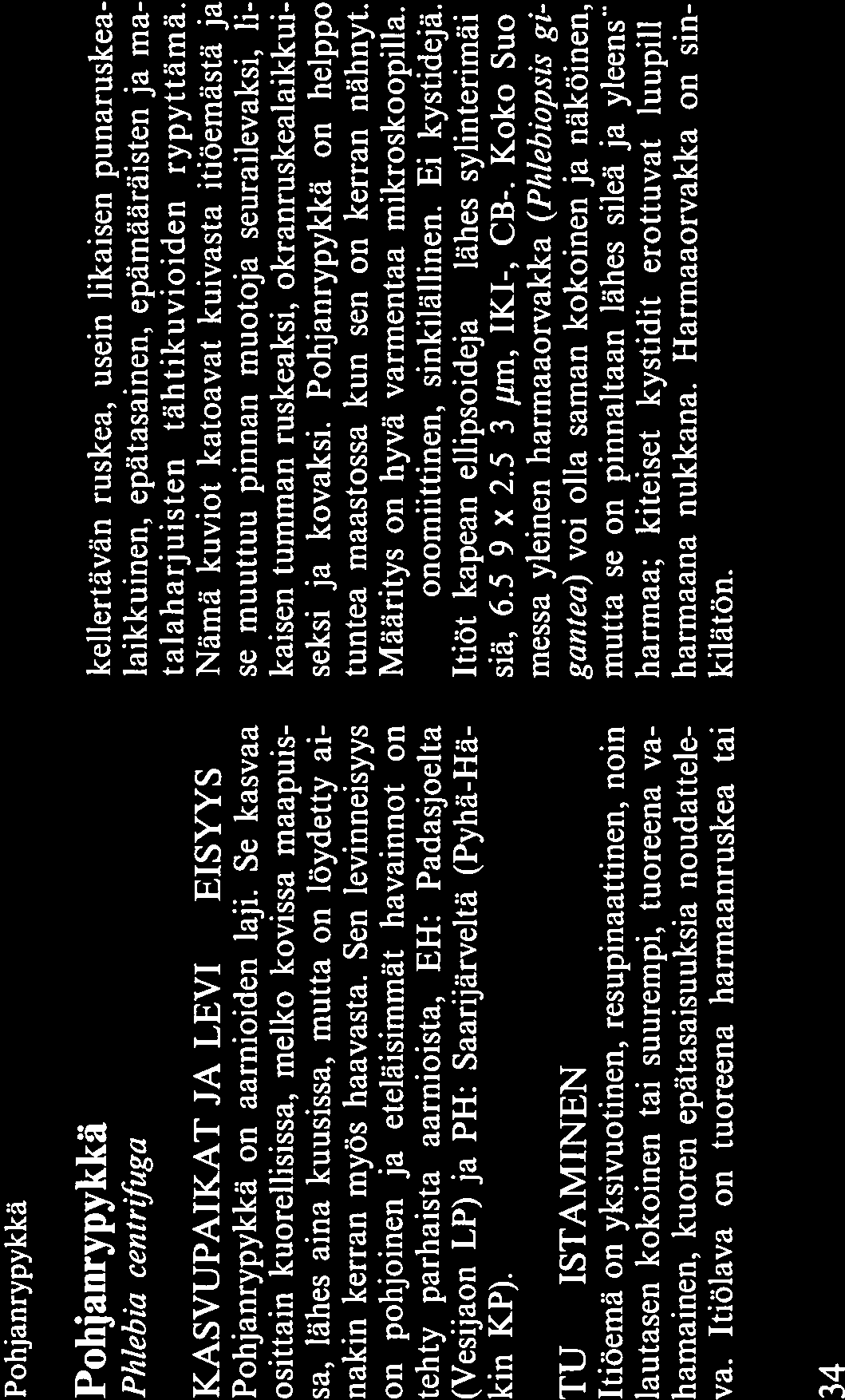 Pohjan rypykkä Pohjanrypykkä Phlebia centrfuga KASVUPAIKAT JA LEVINNEISYYS Pohjanrypykkä on aarnioiden laji.