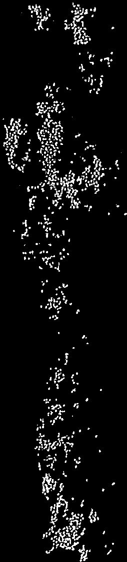 KIRJALLISUUTTA Niemelä, Kotiranta & Penttilä 1992 (värik.