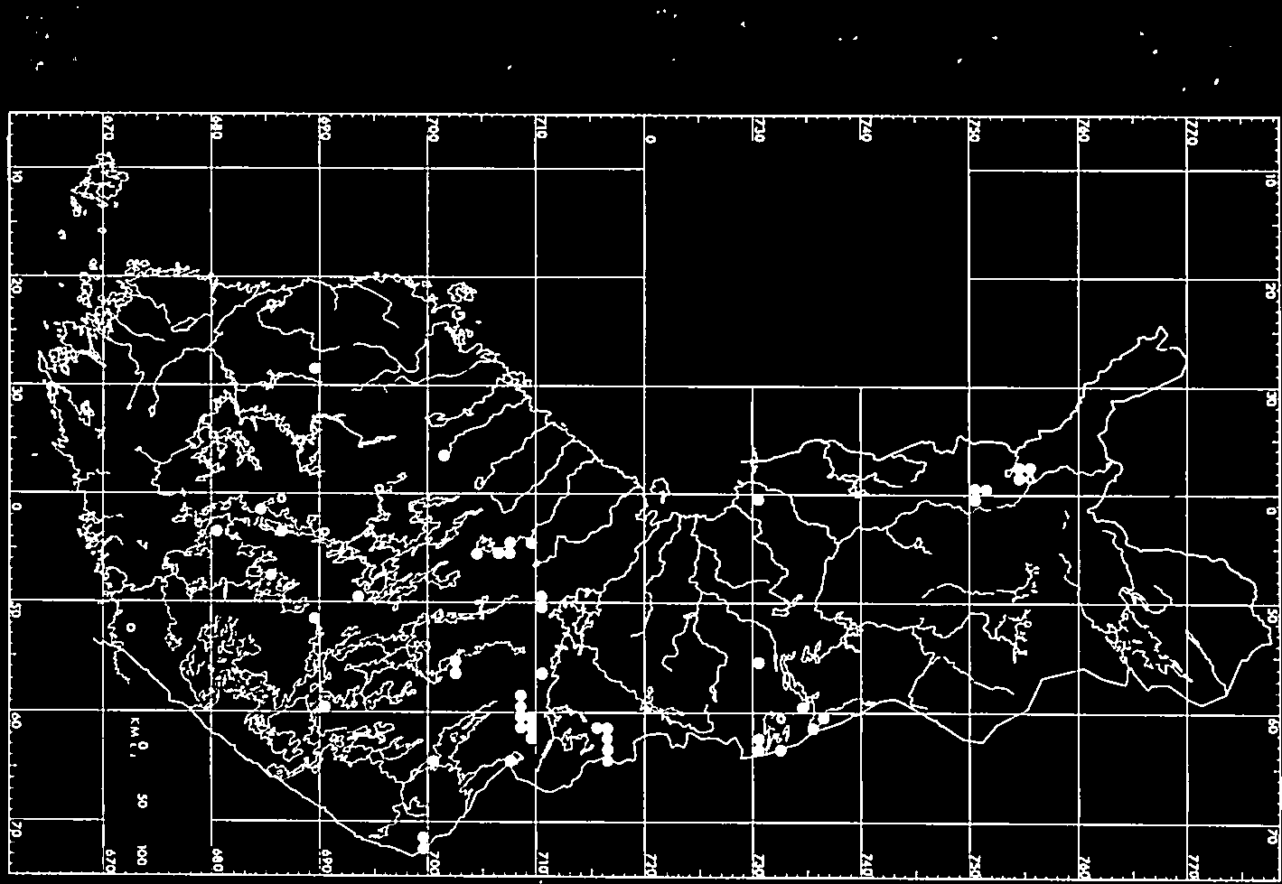 ITIÖEMÄ Monivuotinen, pileaattinen, keskikokoinen, ensimmäisinä vuosina kyhmymäinen, täysikas vuisena