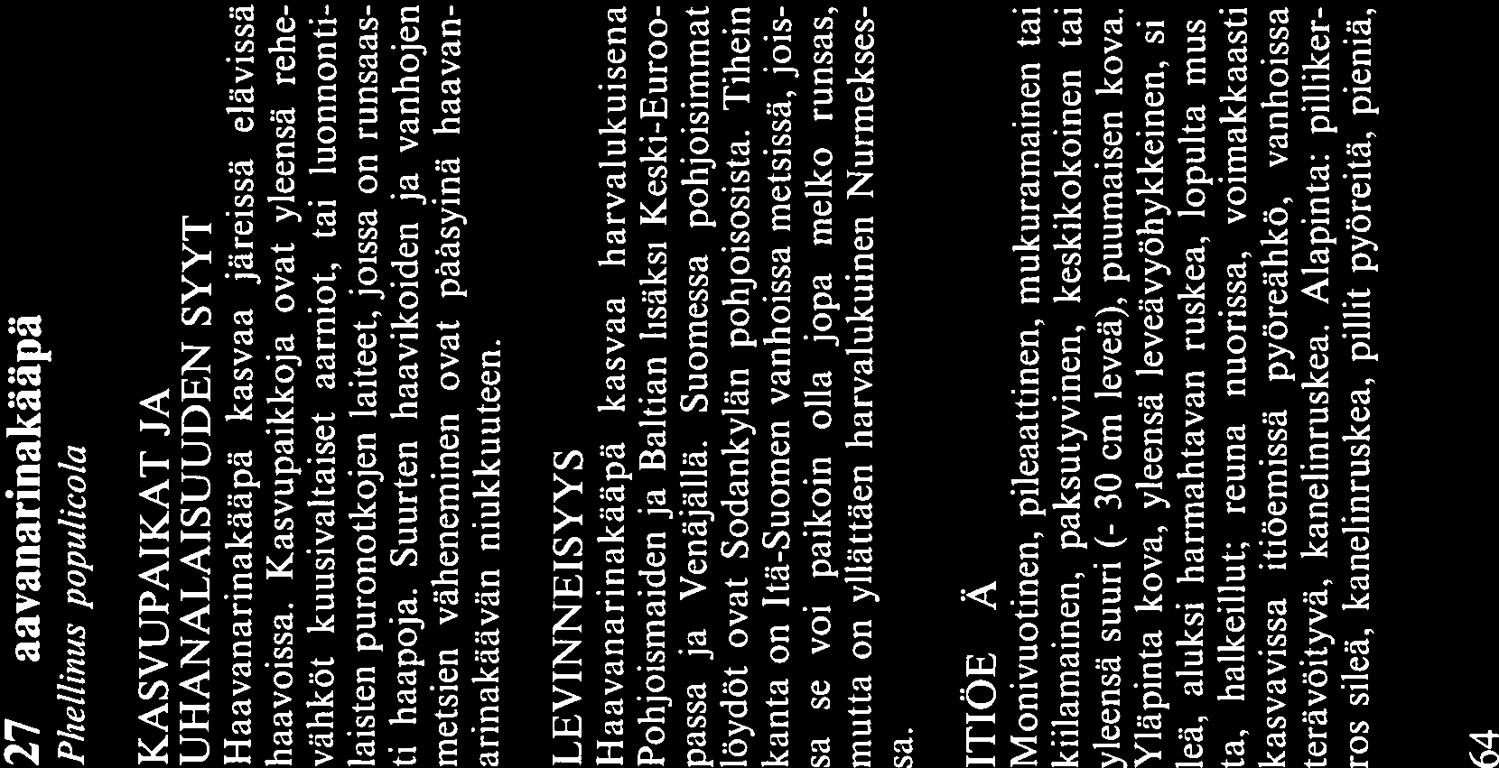 TUNNISTAMINEN Maastossa etelänruostekääpä on tunnistetta vissa isäntäkasvista (pähkinäpensas tai muu eteläinen puuvartinen laji), resupinaattisesta epätasaisesta itäemästä ja väristä.