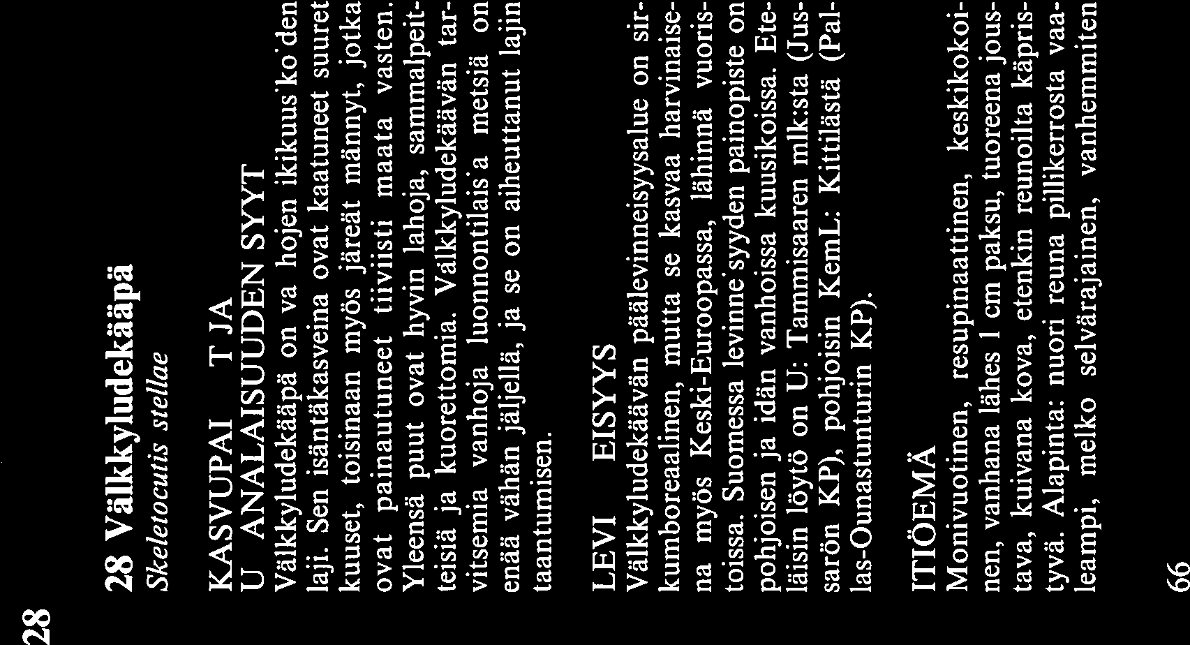 LEVINNEISYYS Välkkyludekäävän päälevinneisyysalue on sir kumboreaalinen, mutta se kasvaa harvinaise na myös Keski-Euroopassa, lähinnä vuoris toissa.