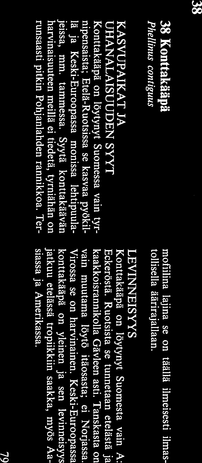 melko sel viä. Haju mieto, maku karvas. TUNNISTAMINEN Korkkikerroskäävän tunnistaminen maastossa ei ole helppoa.