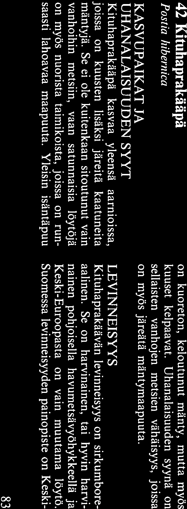 Tuoreissa käävissä on usein guttaatiopi saroita (kirkkaita nestepisaroita) pillikerrok sessa. Näistä jää kuoppia muuten sileään pil listöön. Karvashaprakääpä (P.