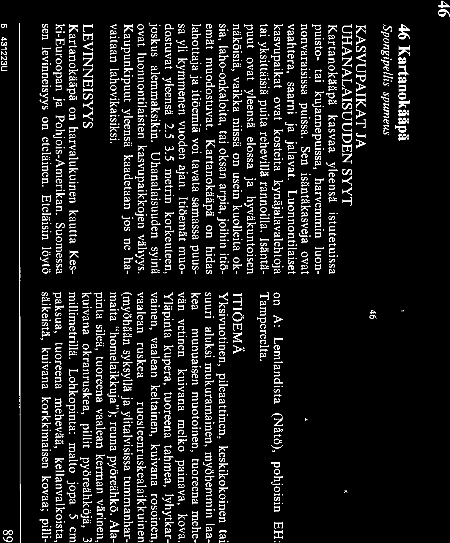 46 46 Kartanokäapä Spongipellis spumeus KASVUPAIKAT JA UHANALAISUUDEN SYYT Kartanokaäpä kasvaa yleensä istutetuissa puisto- tai