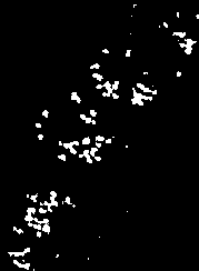 Eteläisin löytö 46,!f, rn Q --, 0 on A: Lemlandista (Nåtö), pohjoisin EH: Tampereelta.