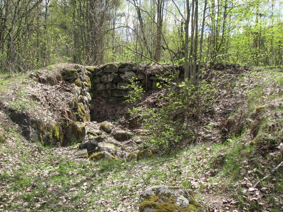 Tiurinlinnan ja Viipurin hävitykset 1411 Tiurinlinna (ven.