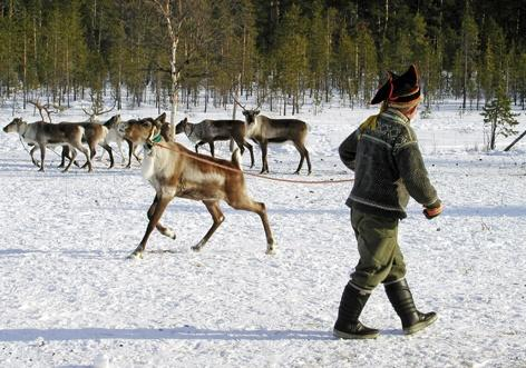 Hansakaupalla vaikeuksia; 1478 Moskovan tsaari Iivana III valtaa Novgorodin.