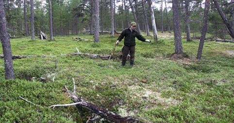 Urpo Aikion Mihkalijärven ympäristöstä löytämien maavalliperustaisten kotien jäännökset sijaitsevat muinaisella kolttakylän alueella.