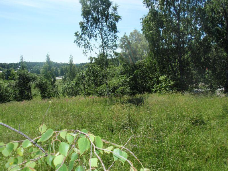hoitosuunnitelma
