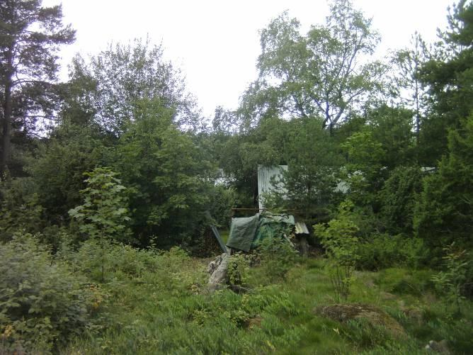Täyttömaa Täyttömaa (ks. kuva 6) sijaitsee alueen rajan tuntumassa, Ihalantien puoleisessa osassa (ks. liite 6). Alueelle on tuotu maa-ainesta ja alue on hieman kulttuurivaikutteinen.
