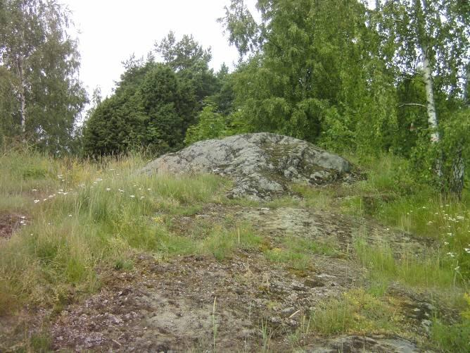 Kuivalla kankaalla kasvavat puolukka, mustikka, kanerva, hietakastikka, kissakello, mäkitervakko sekä eri jäkäliä (sp.). Kuiva kangas ei vaadi hoitotoimenpiteitä.