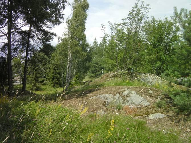 Kuva 18. Kallioketo. Kuvanottosuunta pohjoiseen. Puustoinen rinne Puinen rinne (ks. kuva 4) sijaitsee rinteen päällä sekä rinteen alla sijaitsevien niittyjen välissä (ks. liite 7).
