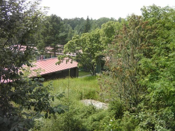 voikukka ja sikoangervo. Sikoangervon esiintyminen on huomionarvoista. Kuva 20. Suuruohoniitty (b) rinteen alla, kuvanottosuunta luoteeseen, kohti rinteen alaosaa.