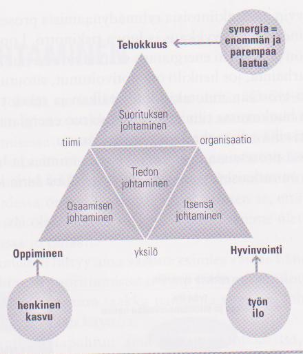56 Kuvio 6. Älykäs organisaatio ja synergian johtaminen ( Åberg 2006, 61).