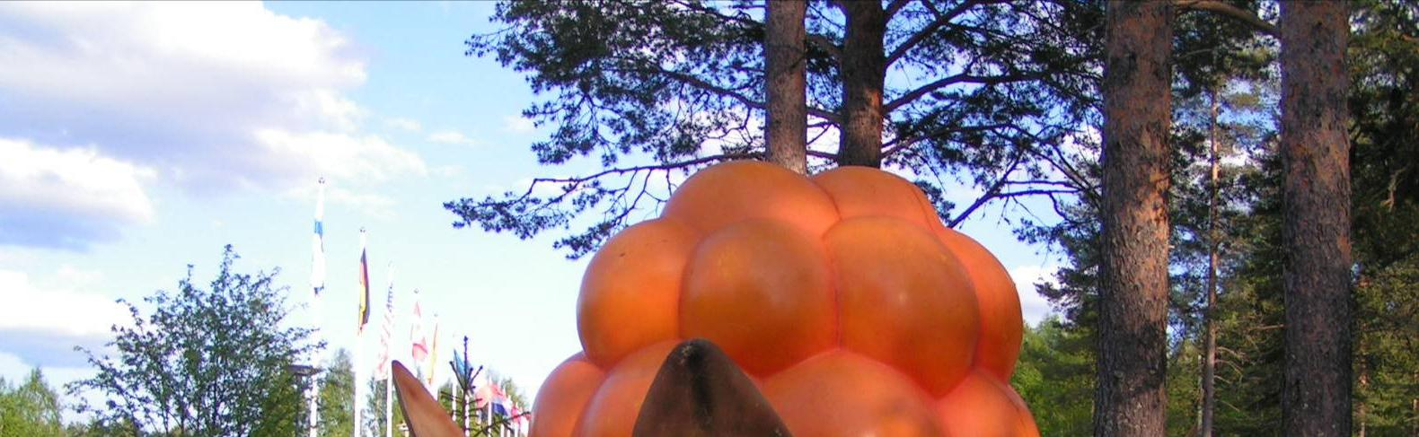 Kuva yllä: Jäsentymätön ja sekava takapihatunnelma.