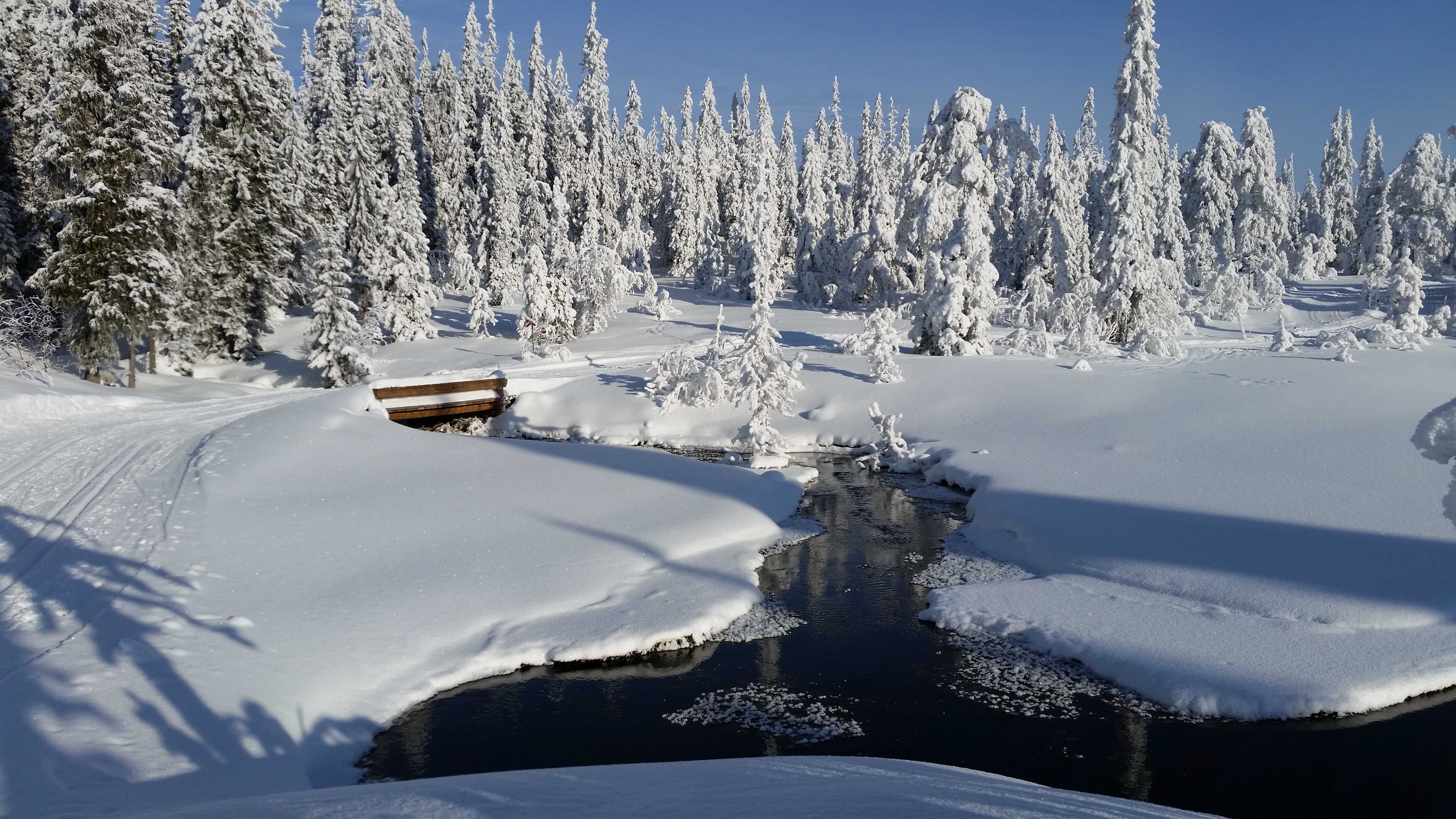 Katajaiset Suomi Seura Katajaiset Katajaiset tidningen är skriven på finska. De viktigaste information finns även på svenska på Finska Föreningen Katajaiset hemsida. www.katajaiset.se. Löpande information och senaste nytt finns på fb-sidan Finska Föreningen Katajaiset Seuralehti 2017 /1 Västerås Katajaiset lehti kertoo tapahtumista Suomituvalla.