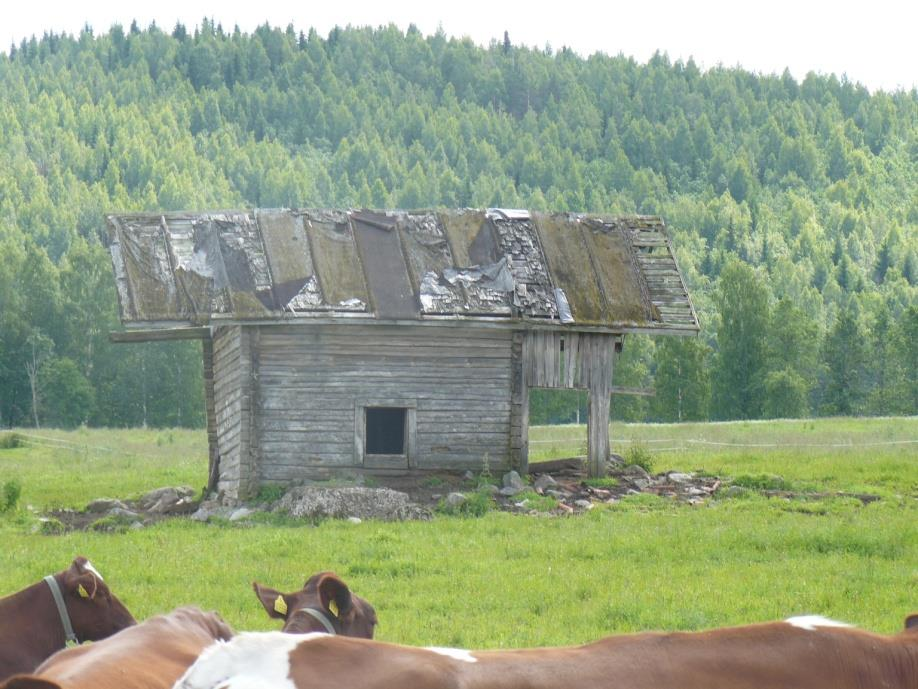 lisäksi hankkeessa tarvitaan