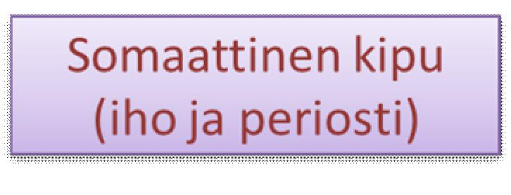 Puudutteen tarkoituksena on ehkäistä luuydinkalvon somaattisten (kehononteloiden ulkopuolisiin kudoksiin liittyvä) hermosäikeiden ja luun sisällä olevien viskeraalisten (sisäelimiin liittyvä)