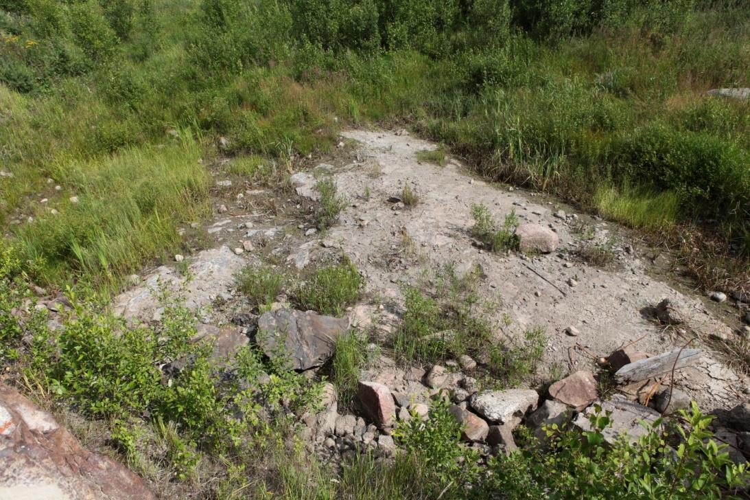 Kuva 2. Itäisen huoltotien monttulampareen vesialue oli kuivunut 22.7.2014.