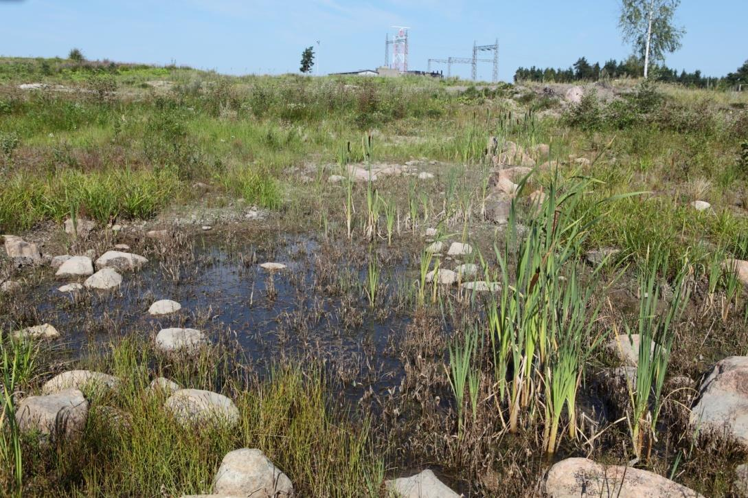 habitaattivalintaa ja esimerkiksi kaventaa erikoistujien selviytymismahdollisuuksia (Sahlén 2008, 21). Sudenkorennot toimivat näin myös ilmastonmuutoksen indikaattoreina. Kuva 9.