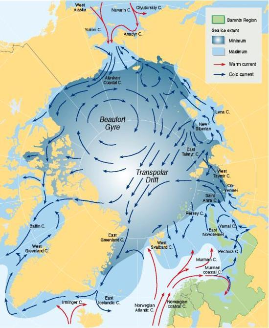 KUVA 4. Arktisella alueella vaikuttavat merivirrat sekä Beaufortin pyörre (40) 4.