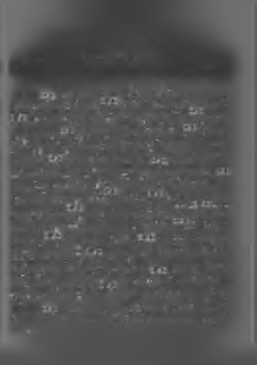 LIITE A POSTI- JA LE N N Ä T IN H A LLIT U K S E N KIERTOKIRJE KOKOELMAAN 1963 Helmikuu Toukokuu \ ;0 2 5 Helmikuu Kuolleet: (8/2) Helsingin postikonttorin postimies Torsten Johan Henriksson; (19/2)