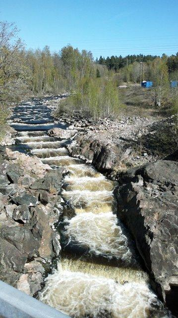 - Info about smolt stockings, Salmon Trust Fund Vänern, and fisheries regulation by Sven-Erik Sköld (the county