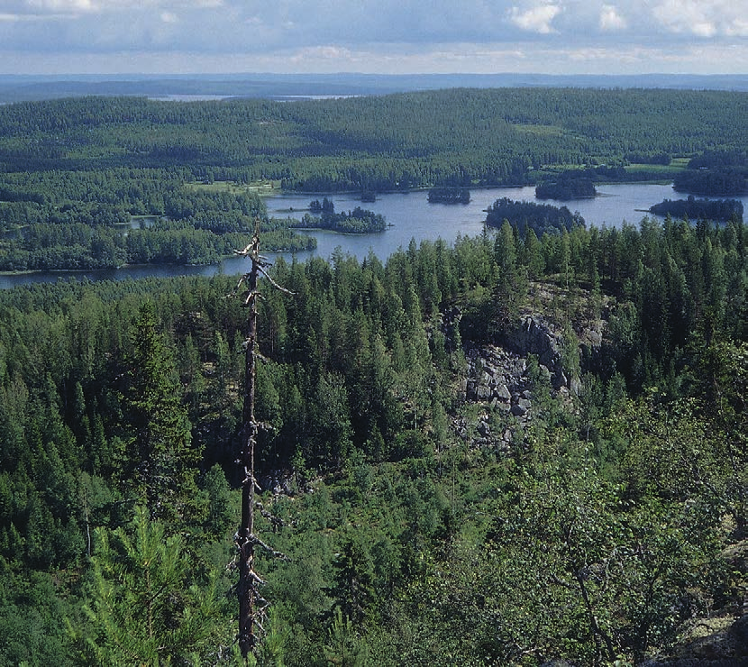 Valtakunnallisen kallioaluehankeen tavoitteena on luetteloida ja luokitella luonnon- ja maisemansuojelun kannalta maamme arvokkaimmat kalliokohteet.