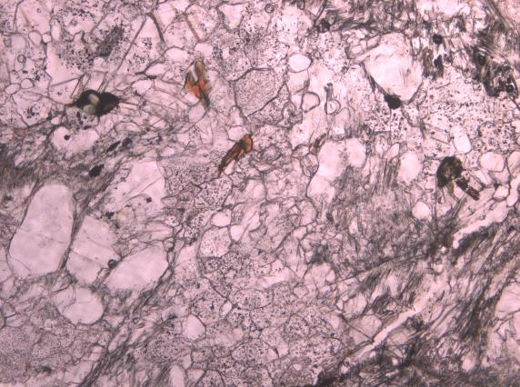 Ferrokarbonatiitin (KOH 3) perusmassa on suuntautunutta ja pieni keskirakeista, ja se koostuu karbonaattista, apatiitista, amfibolista sekä magnetiitista (Kuva 34 (B C)).