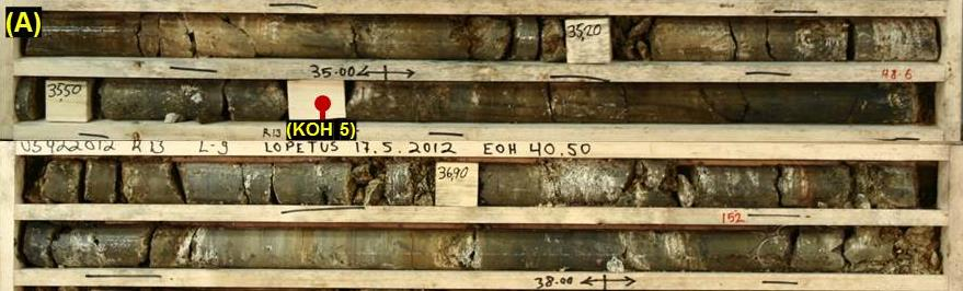 55 Ferrokarbonatiitti tyyppinäyte KOH 5 on kairasydämestä U5422012 R13, analyysivälillä 35,00 38,00 analyysivälillä 35,00 38,00 ja kohdasta 37,75 metriä (Kuva 36 (A)).