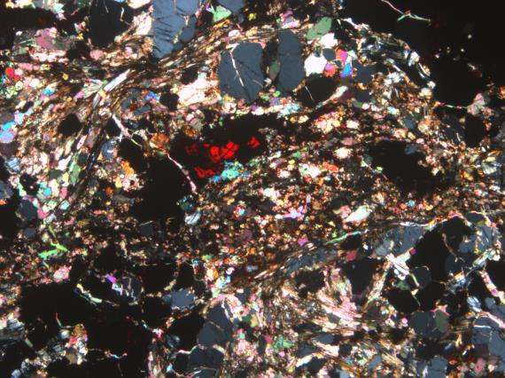 Ferrokarbonatiitin tyyppinäytteen (KOH 5) perusmassa on pääosin suuntautunutta ja pieni keskirakeista, ja se koostuu karbonaatista, apatiitista, amfibolista sekä flogopiitista (Kuva 36 (B C)).