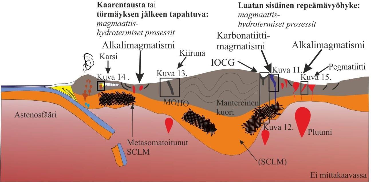 28 (3) karbonatiitit ovat rikastuneet LREE:n suhteen ja peralkalikivet puolestaan HREE + Y suhteen, (4) peralkaliset REE-esiintymät ovat usein juonia ja pegmatiitteja, (5) alkalikivissä