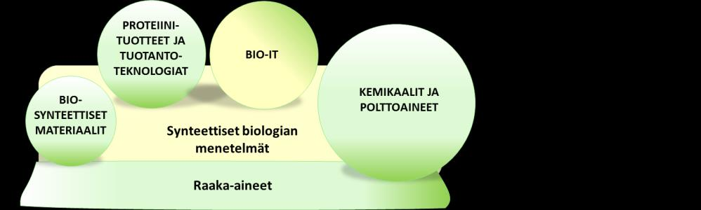 16 Synteettinen biologia kestävän bioekonomian mahdollistajana - Tiekartta Suomelle SUOMEN SYNTEETTISEN BIOLOGIAN TIEKARTTA Tekesin rahoittama Living Factories (LiF) -ohjelma käynnisti