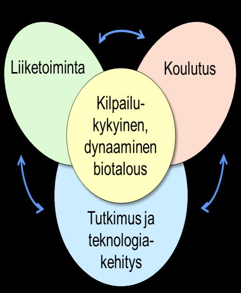 34 Synteettinen biologia kestävän bioekonomian mahdollistajana - Tiekartta Suomelle SYNBIO POWERHOUSE TAHTO- TILAN TOIMEENPANIJA Monessa EU-maassa akateeminen ja yritysmaailma tekevät tiivistä
