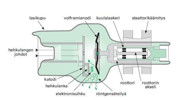 ja pyörivä, jolloin se ei pääse kuumentumaan liikaa. Pienitehoisissa röntgenlaitteissa sen sijaan riittää kiinteäanodinen röntgenputki. [1] Kuva 1. Pyöriväanodisen röntgenputken rakenne [1].