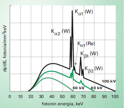 2.1.2 Säteilyn spektri ja ominaissuureet Spektri kuvaa säteilyn energiajakaumaa, joka on röntgensäteilyn tapauksessa jatkuva ja gammasäteilyllä se koostuu diskreeteistä kvanttienergioista.