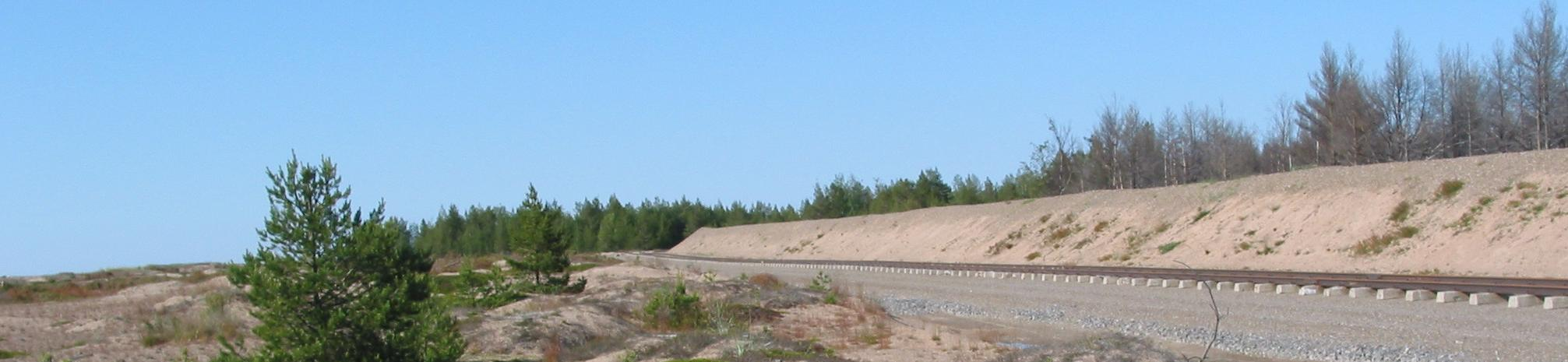 Siellä lammaslauma oli hyvin pieni ja laidunnusaika lyhyt eikä merkkejä deflaation lisääntymisestä ole toistaiseksi havaittu.