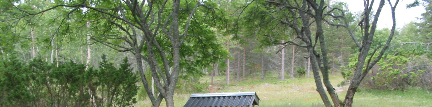 Valkeilla ja harmailla dyyneillä näin voi tapahtua, jos lampaat syövät dyynien heinät