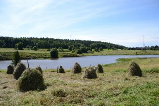 VEERAssa on järjestetty erilaisia koulutuksia ja luentoja, talkoita, laiduntreffejä ja koekalastusnäytöksiä (Liite1 ja 2). Yhteensä näitä tilaisuuksia on ollut 34 kappaletta.