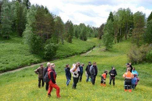 VEERA-hanke, loppuraportti 6 on tehty ruovikoiden hoidon- ja hyötykäytön suunnitelma Kiskon Kirkkojärvelle o Hankkeen tuloksena saatiin itse suunnitelma ja toivottavasti tulevaisuudessa se otetaan